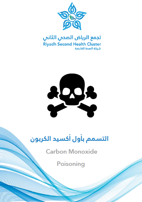 HEM3.20.0001057 carbon monoxid.pdf